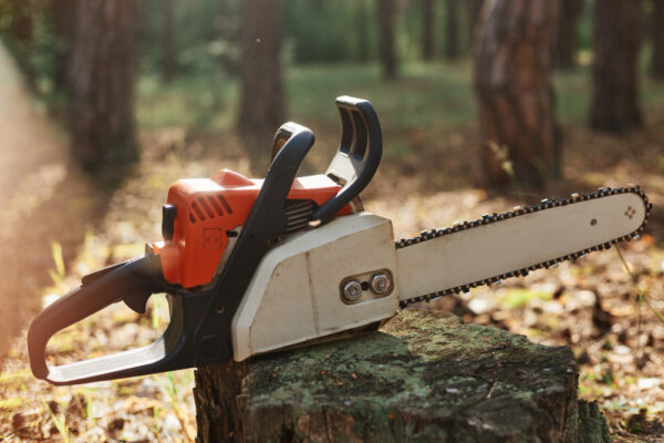 Professional Chainsaws
